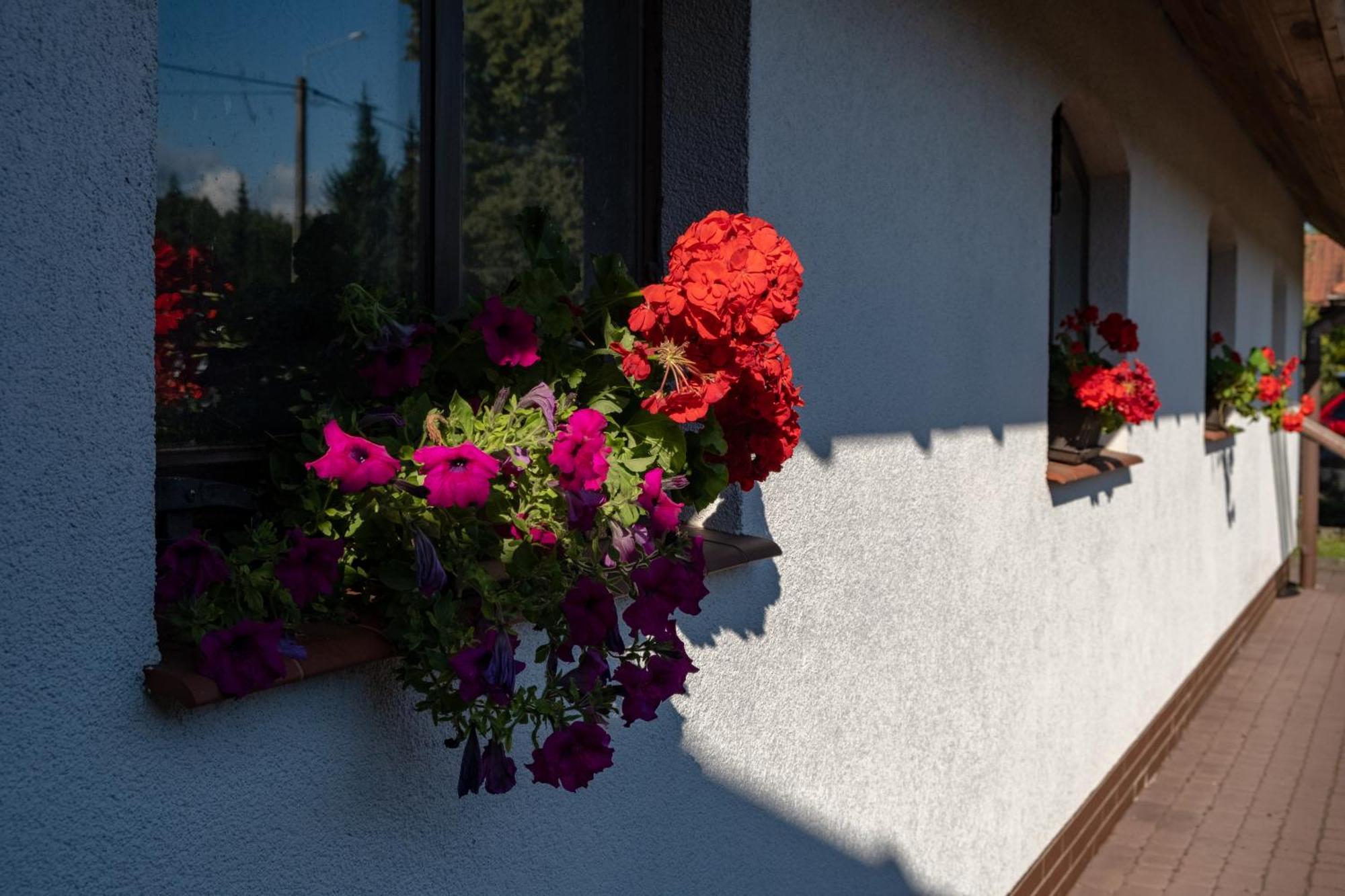 Siedlisko Leszczewek Villa Exterior foto